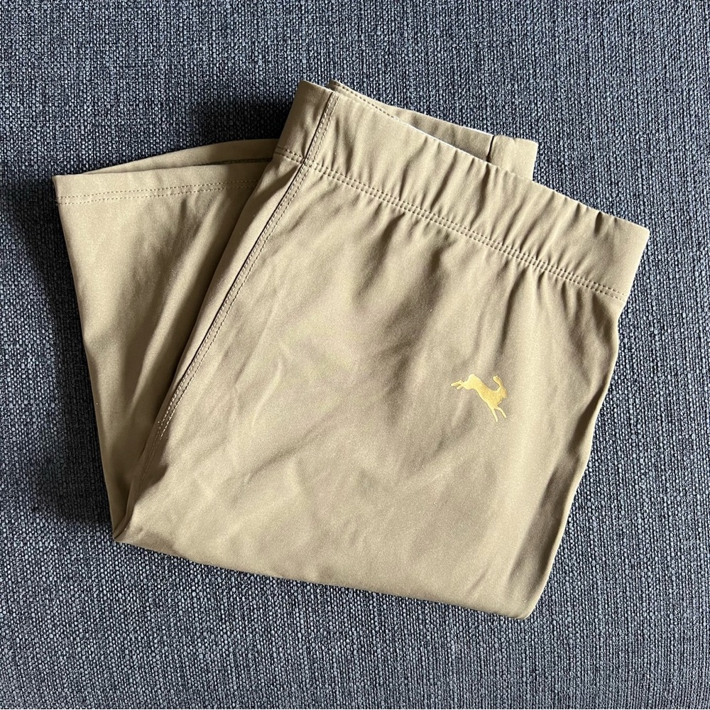 Tracksmith Allston Long Running Shorts Sage Green